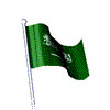 Kingdom of Saudi Arabia